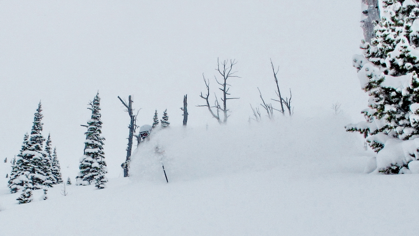 Lots powder found this season.