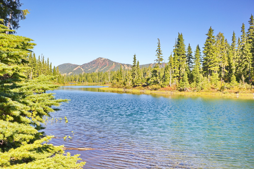 View of Mt. Washington across Battle Ship Lake in Strathcona Provincial Park.