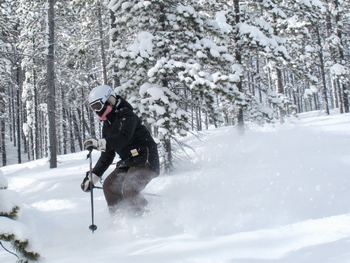 A little powder in Ghost Rider glades days after the fresh fell.  Feb. 18, 2011.