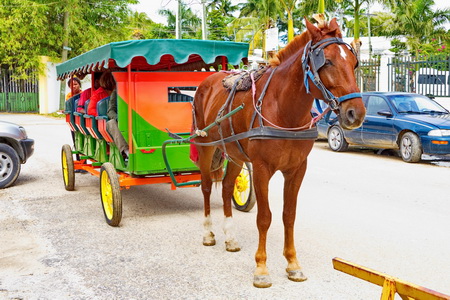 Belize City, Belize, horse and buggy ride.