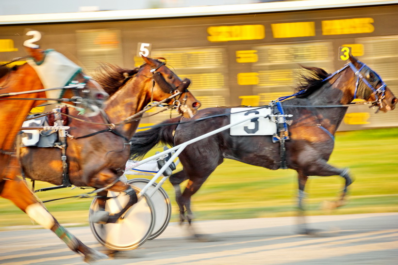 July 3, 2012 at the races, Barrie, Ontario.