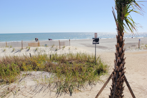 Tsunami zone at Mrytle Beach? Read the news for what's new at the beach.